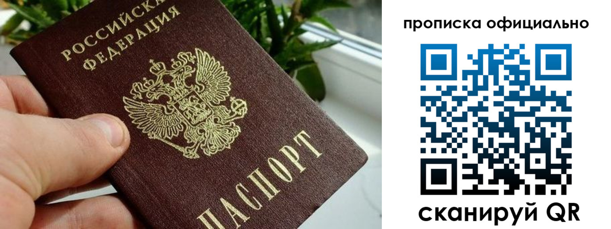 прописка поиск в Лысково